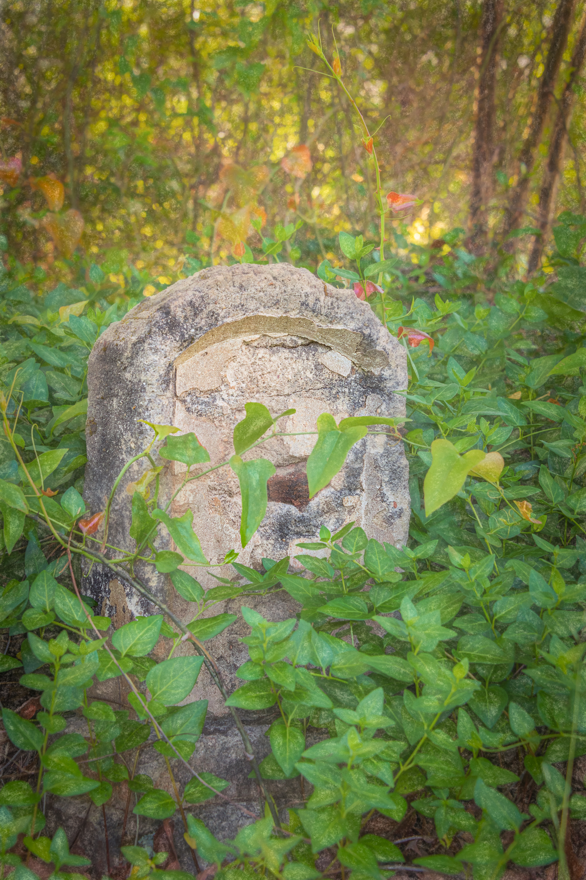 <span>HISTORIC WOOLSEY CEMETERY:</span> Photo by Jenny Burdette © 2021